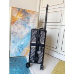 Dior suitcase