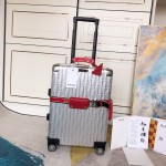 Fendi trolley case