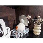 Can store coins Piggy bank