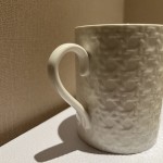 Miss Dr Cannage Series